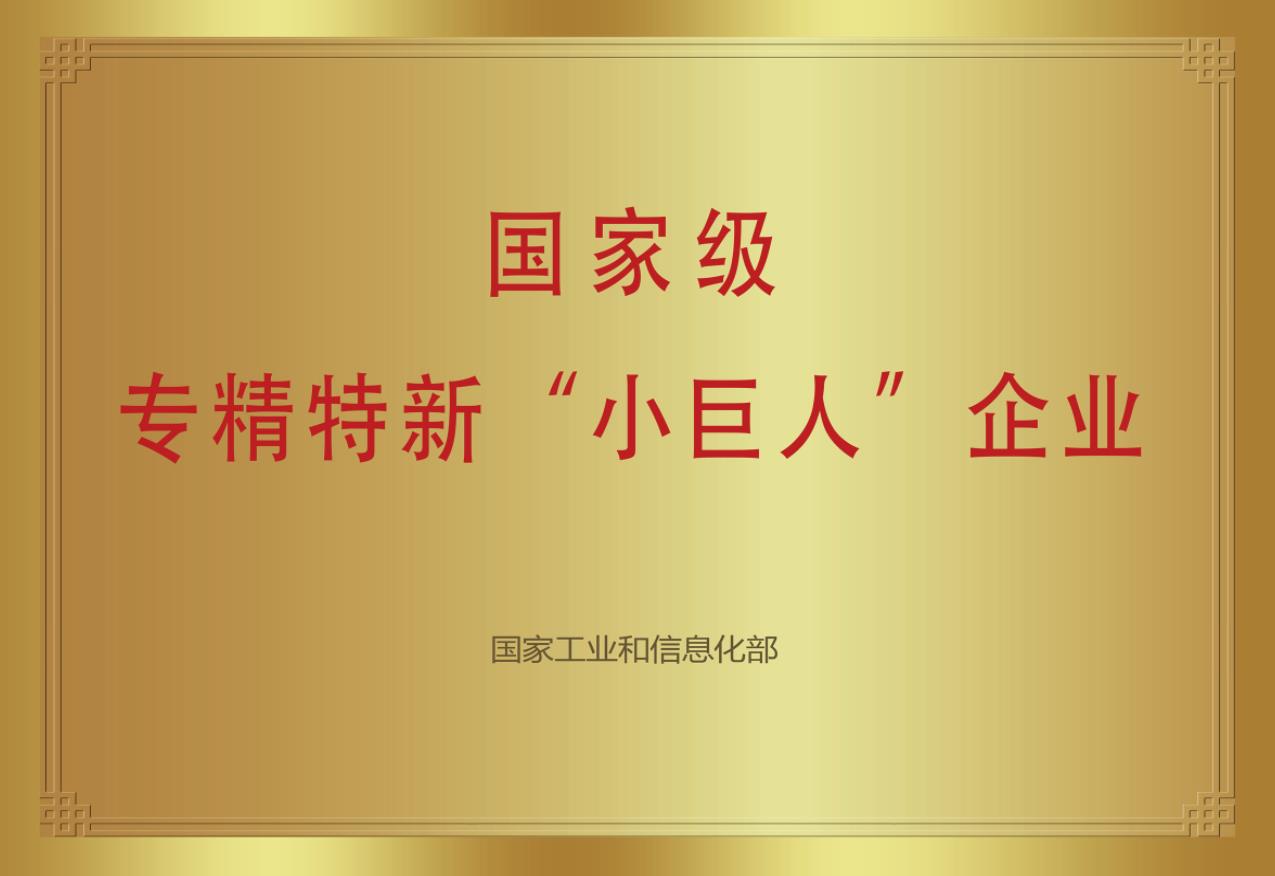 國(guó)家級(jí)專(zhuān)精特新“小巨人”企業(yè)